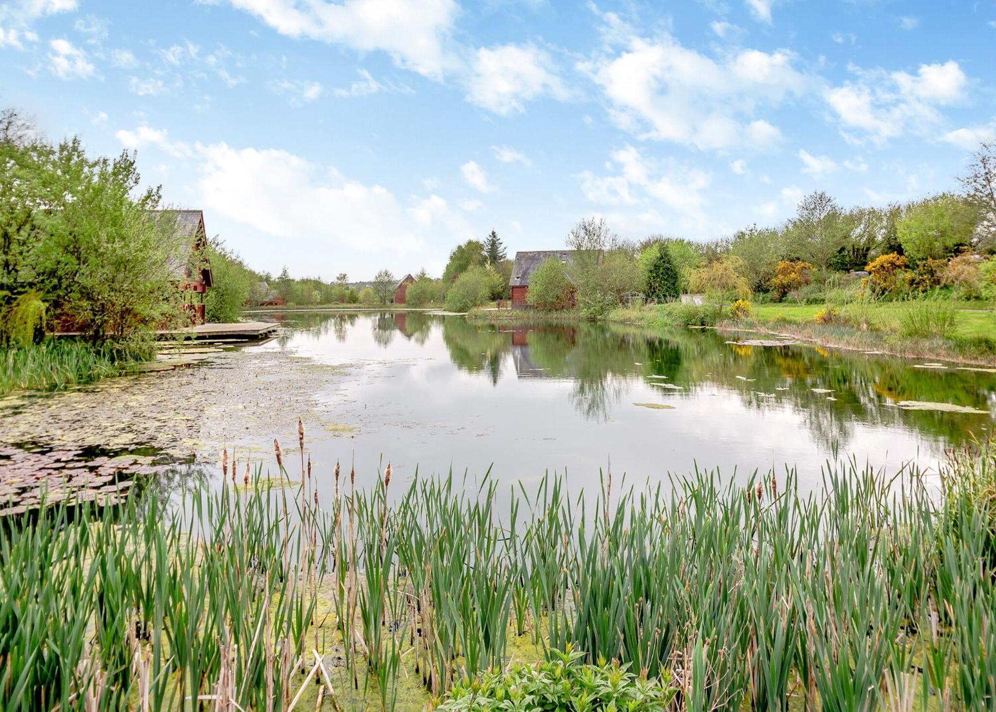 Anglesey Lakeside Lodges メナイ・ブリッジ 部屋 写真